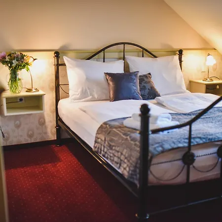 ホテル Chateau Kynsperk 4*