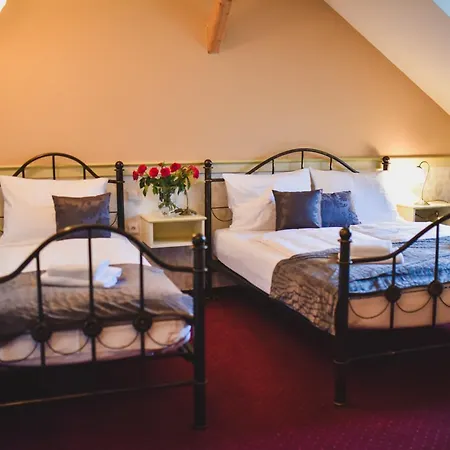 Chateau Kynsperk 4* Kynsperk nad Ohri