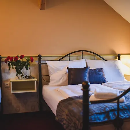 Chateau Kynsperk فندق Kynsperk nad Ohri