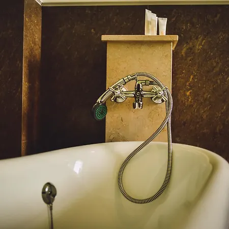 Chateau Kynsperk فندق