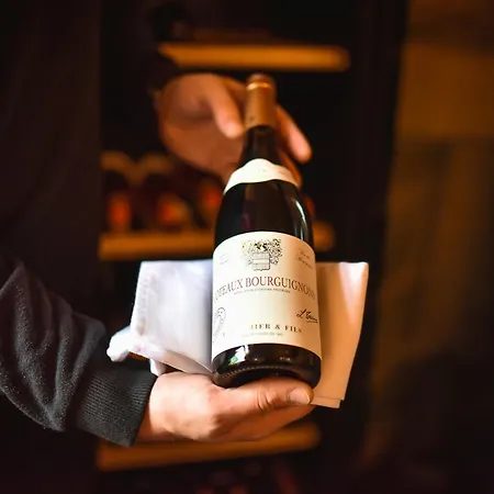 Chateau Kynsperk 4* Kynsperk nad Ohri