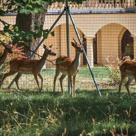 Chateau Kynsperk فندق 4*