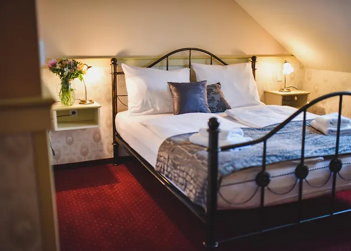 Отель Chateau Kynsperk 4*